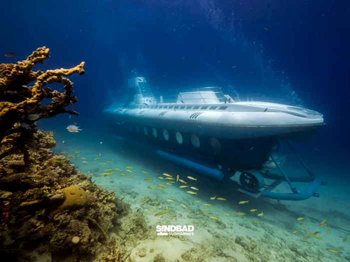 La bordul submarinului se aflau 45 de turiști