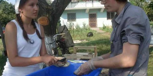 Dana Mone, foto dreapta, alături de colega ei Bianca Petruţ, spală obiectele din os descoperite la Bobald