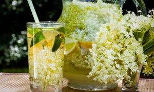 Dieta cu flori de soc Elimini toxinele din organism şi să dai jos kilogramele în plus, în timp record jpeg