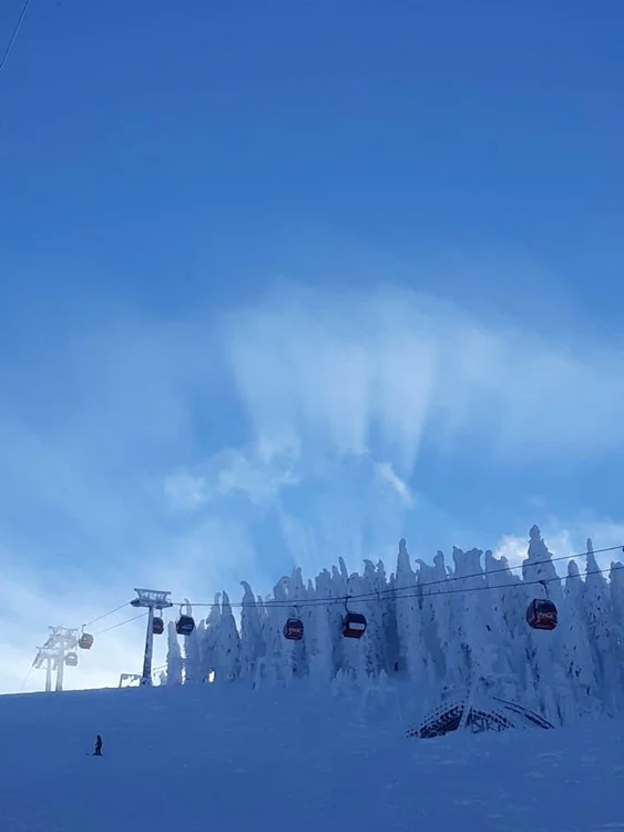 Internauții au postat imagini fabuloase de la munte, unde a nins chiar ca în poveștiFOTO: Poiana Brasov