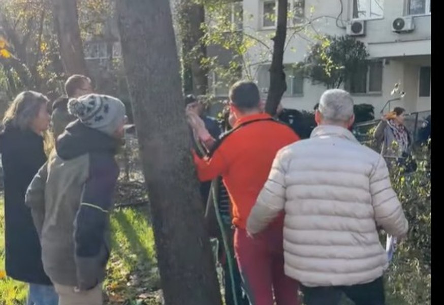 Scandal în Parcul IOR: copaci tăiați fără aviz, Poliția oprește lucrările, iar polițiștii locali sunt anchetați pentru neglijență