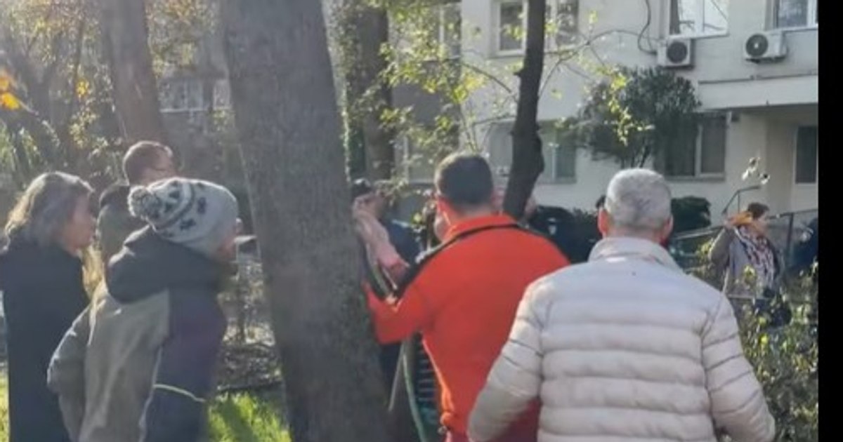 Scandal în Parcul IOR: copaci tăiați fără aviz