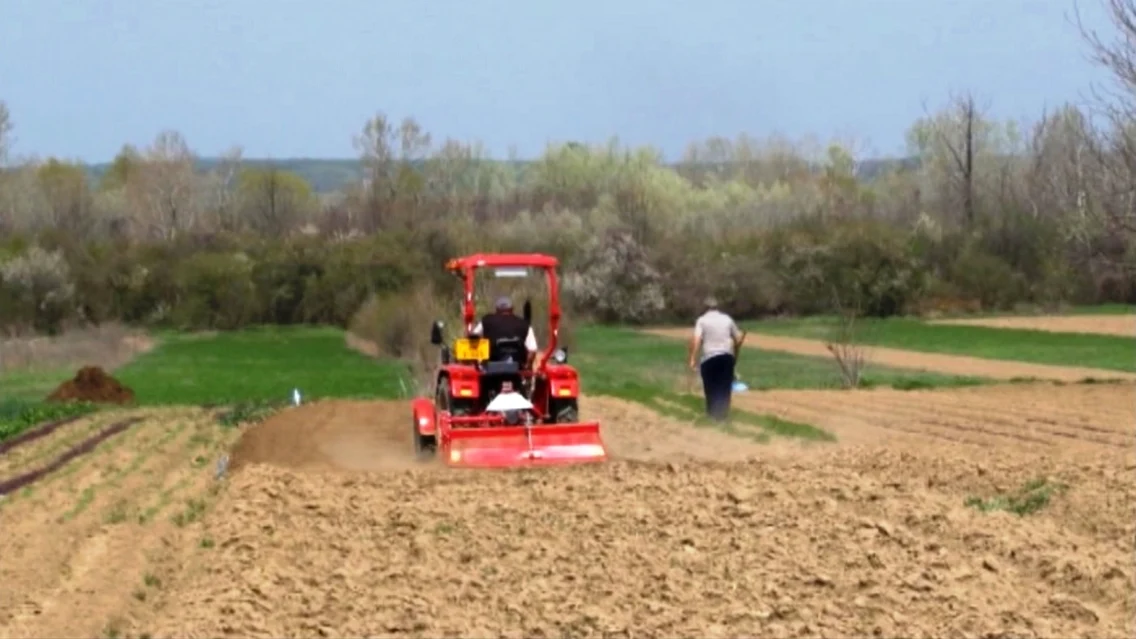 calul cu plugul este folosit de bulgarii din Targoviste in detrimentului tractorului