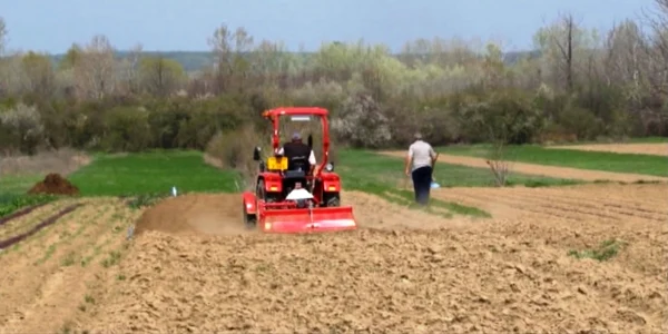 calul cu plugul este folosit de bulgarii din Targoviste in detrimentului tractorului