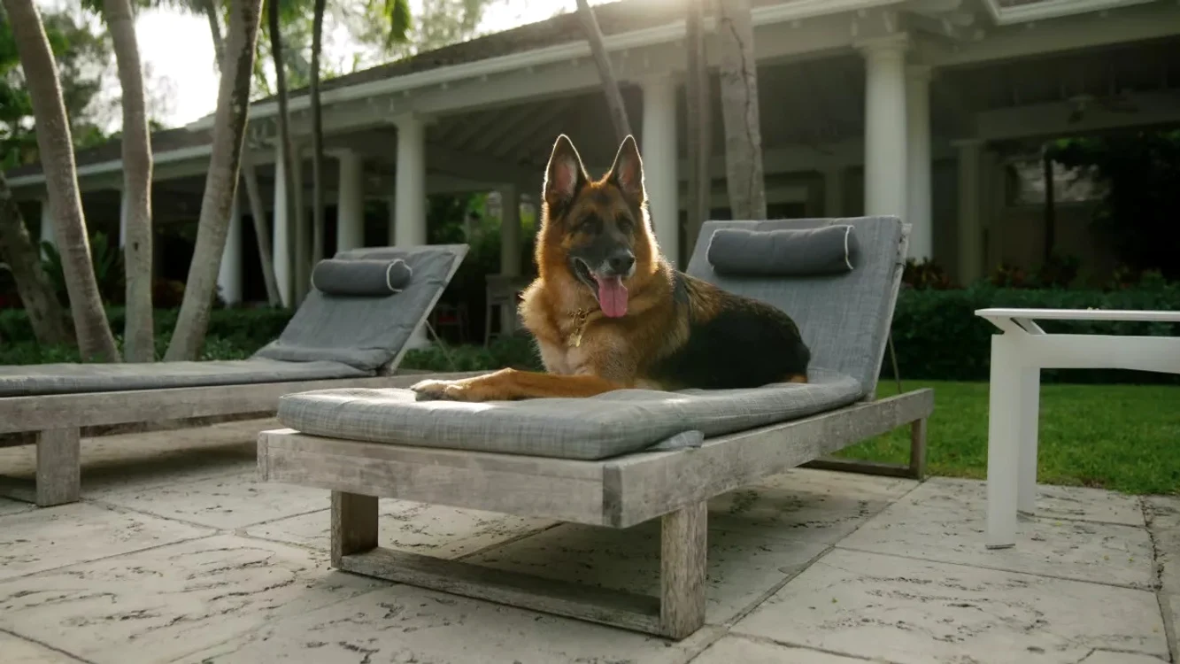 Noul documentar prezintă în amănunte viața lui Gunther (foto: Netflix)