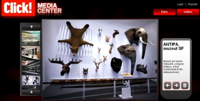 Galerie foto - Muzeul Grigore Antipa