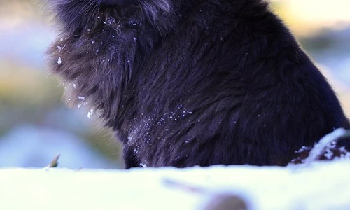 1 73032 original jpg jpeg