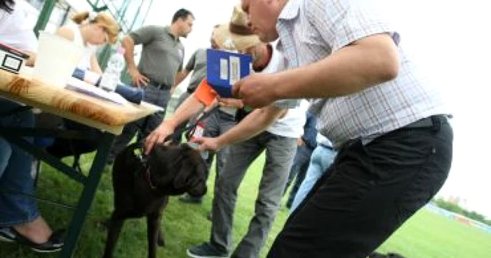 Craiova: Câinii salvatori au trecut de controlul veterinar (galerie foto)