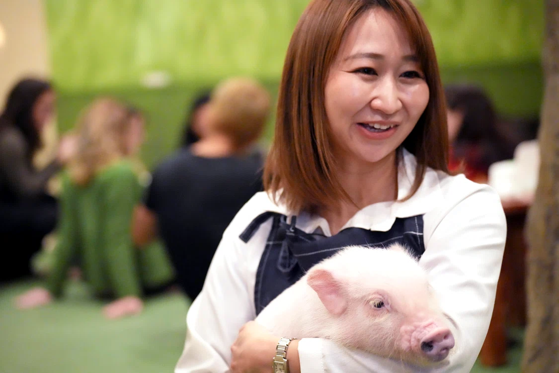 O femeie asiatică ține în brațe un porc mic