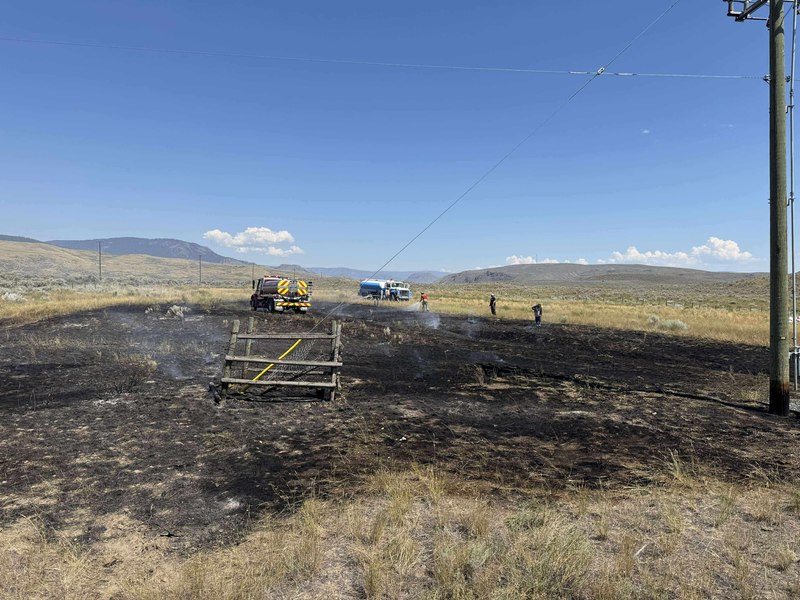 Un peşte scăpat din ciocul unei păsări de pradă a provocat un incendiu în Canada. El a căzut pe liniile de înaltă tensiune