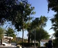14705713 1122715204515232 6135238598959082085 n jpeg