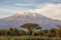 kilimanjaro istock jpg