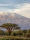 kilimanjaro istock jpg