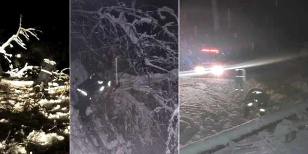 Vâlcea sub zăpadă - copaci căzuţi şi linii de energie electrică avariate Foto Adevărul