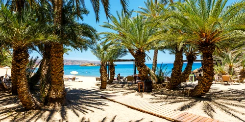 Plaja Vai din Creta Grecia Foto Shutterstock jpg