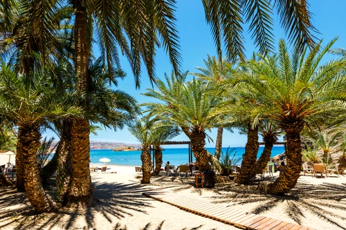 Plaja Vai din Creta Grecia Foto Shutterstock jpg