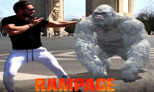 1 81076 original jpg jpeg