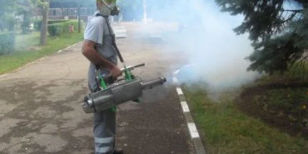Ploieşti: A început dezinsecţia spaţiilor verzi