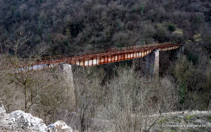 viaductul urias de pe fosta cale ferata a hunedoarei foto daniel guta adevarul