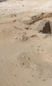 Descoperiri arheologice pe platoul Jabal al-Tayr din Egipt (© Facebook / Ministry of Tourism and Antiquities)