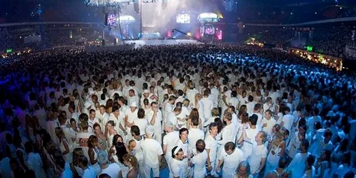 white sensation