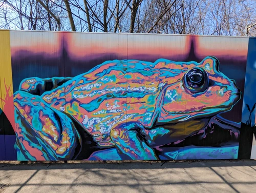 Mural pe zidul Berceniului / Foto Arhivă personală
