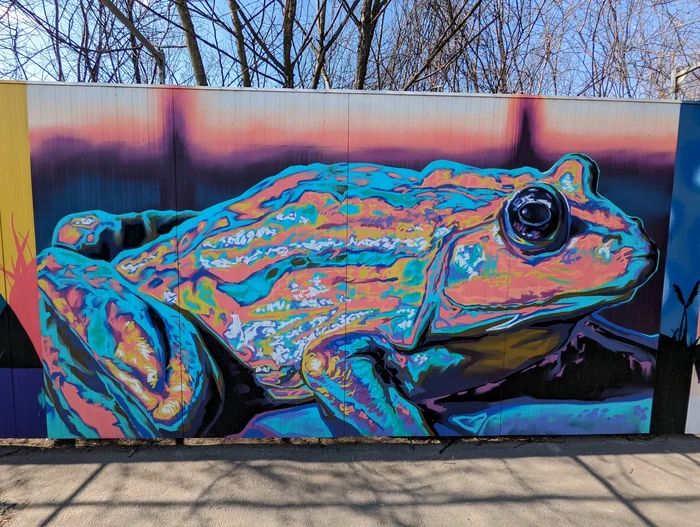 Mural pe zidul Berceniului / Foto Arhivă personală