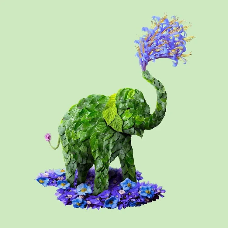 Tablou cu un elefant, făcut din flori și frunze, realizat de Raku Inoue