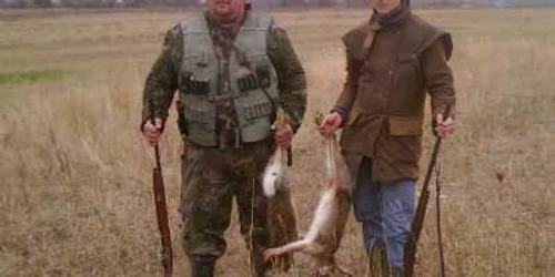 Iepurii sunt printre puţinele animale pe care vânătorii îşi mai permit să le împuşte
