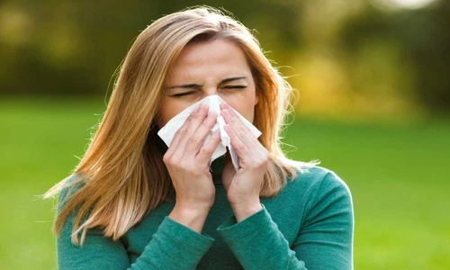 1 78764 original jpg jpeg