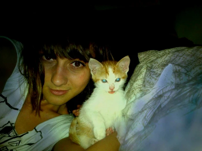 Adina înainte de Colectiv, cu pisoiul ei