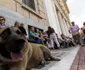 Grecia