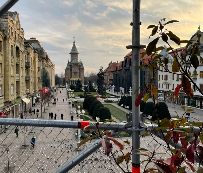 Piața Victoriei din Timișoara, văzută din „Pepiniera 1306” FOTO OAR - Filiala Timiș