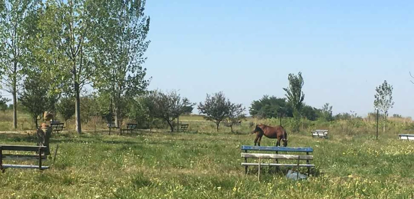 Cel mai mare parc din mediul rural a luat naştere în anul 1960
