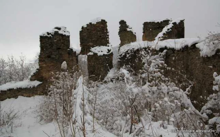 Cetatea Colț, iarna. Foto: Daniel Guță