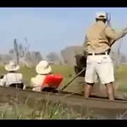 elefant gif gif