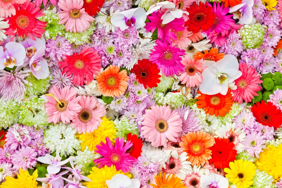 Creştinii ortodocşi sărbătoresc duminică Floriile FOTO Shutterstock