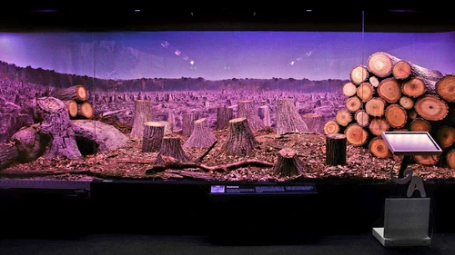 1 69429 original jpg jpeg