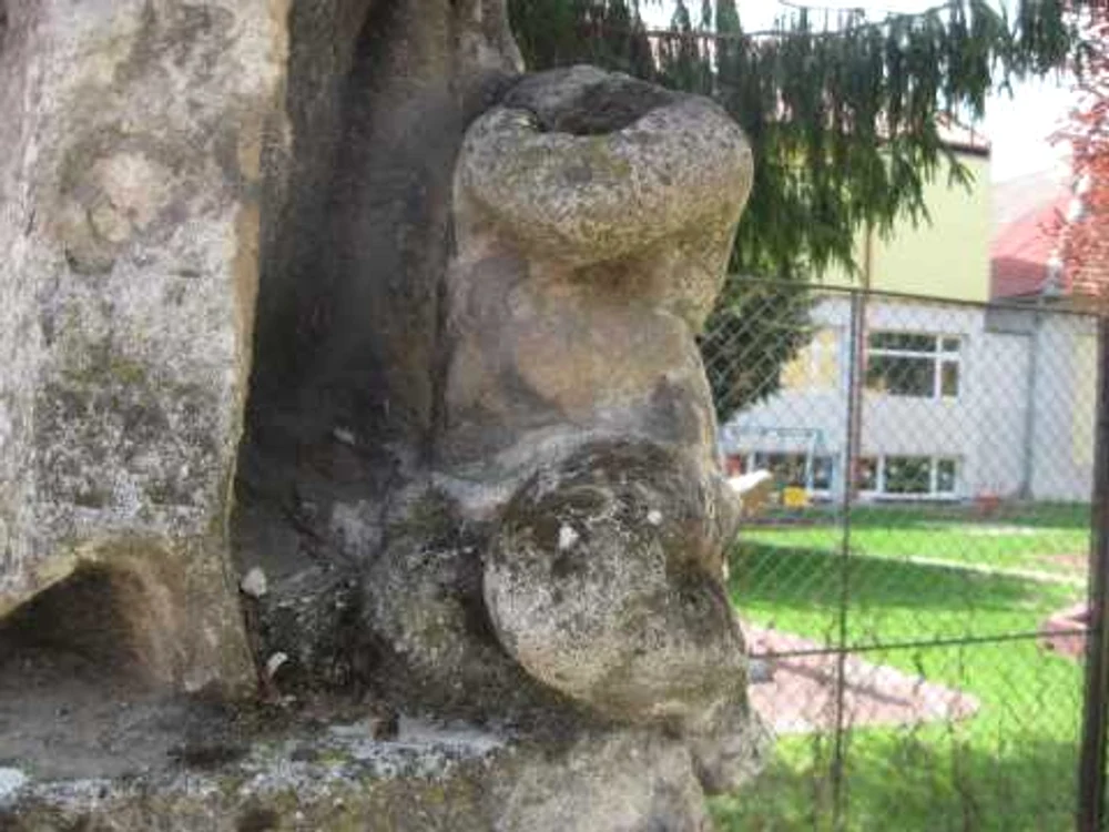 Statuia Sfântului Nepomuk Timișoara