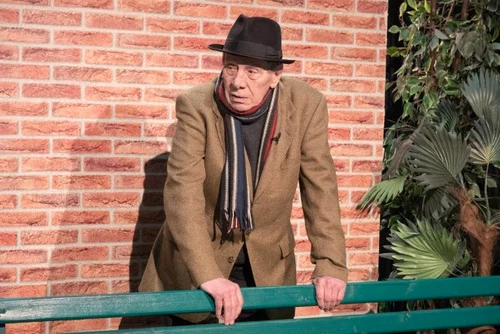 2 mitica popescu pensie 4 jpg jpeg