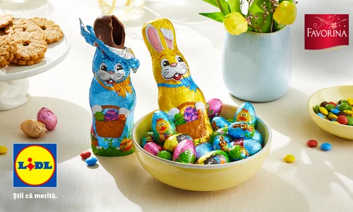 Favorina 1200X700 02 jpg