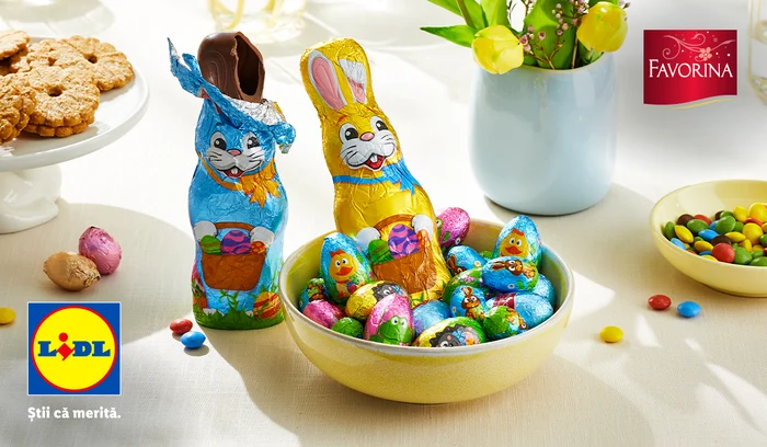 Favorina 1200X700 02 jpg