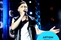 artiom topal   wild card marius moga jpeg