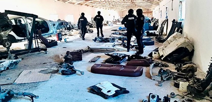 
    Bolizi făcuți bucăți  