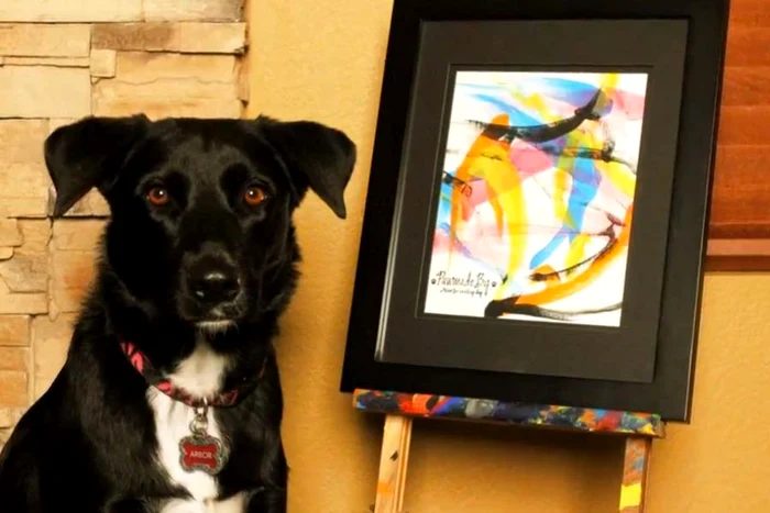 “Poa’ să fie apa cât de rece, sar şi vă salvez cât ai zice peşte!” (Fotografii: photolamd/caters/facebook)