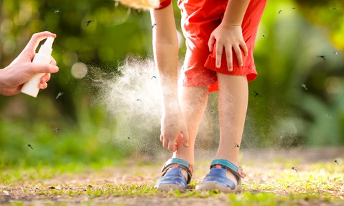 mușcătura de țânțar  foto   Shutterstock jpg