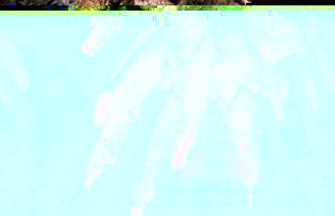 pestera tausoarelor 3