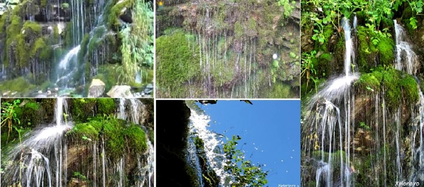 Cascada Verde - Borogeana de pe Cheile Latoriţei - Vâlcea Foto colaj