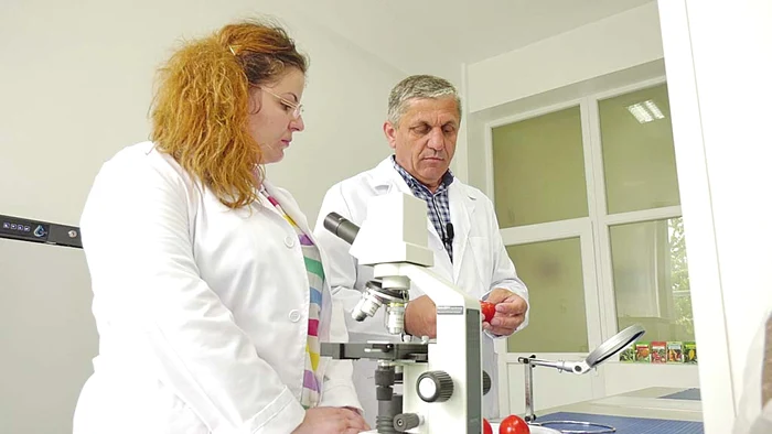 Specialiştii în horticultură spun că aşa arată tomatele care au fost stropite cu erbicide sau cu hormoni de creştere