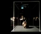 Expoziția Brâncuși de la Timișoara FOTO Ștefan Both